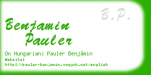 benjamin pauler business card